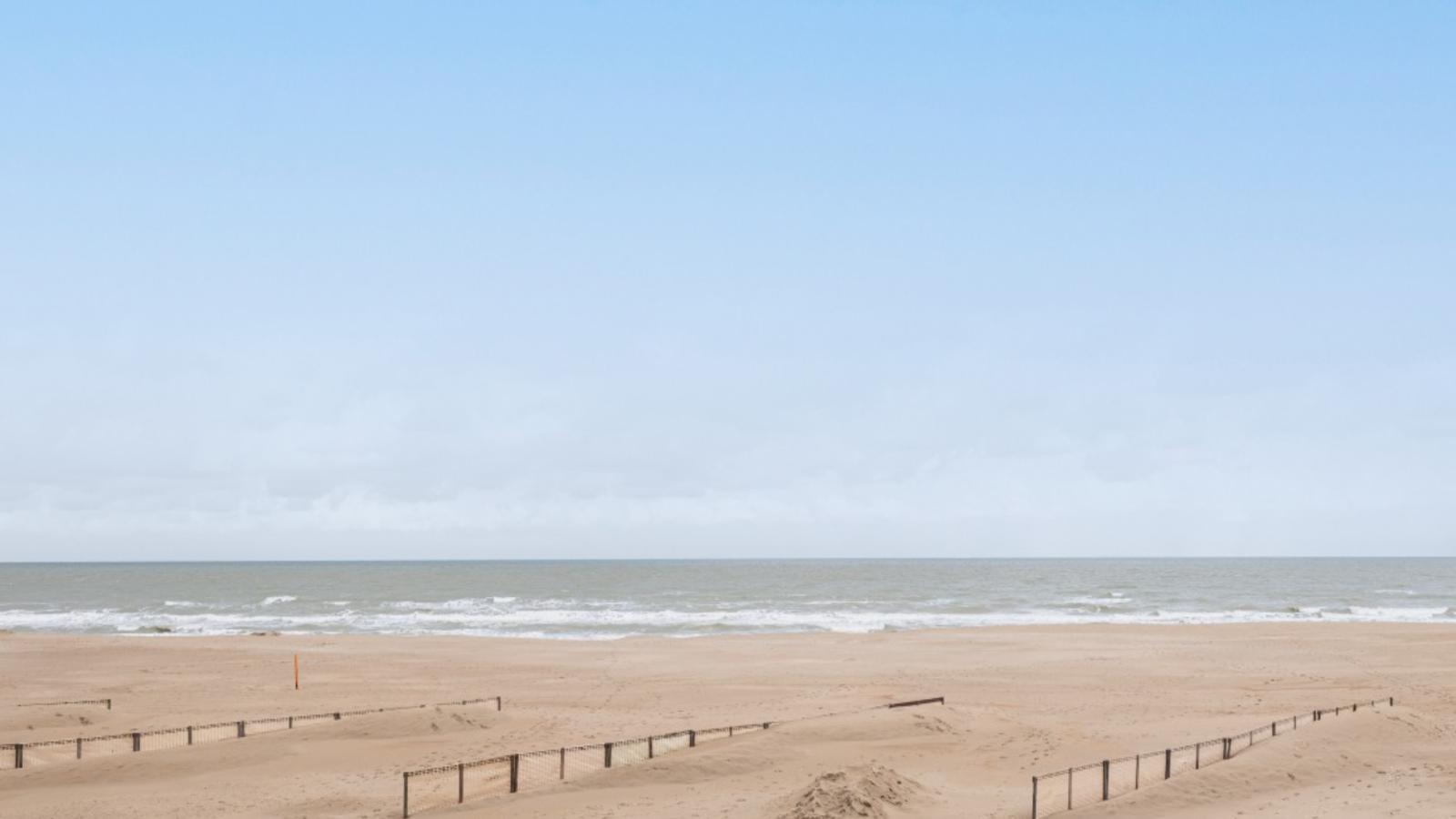 Vitelli eerste-View in summer