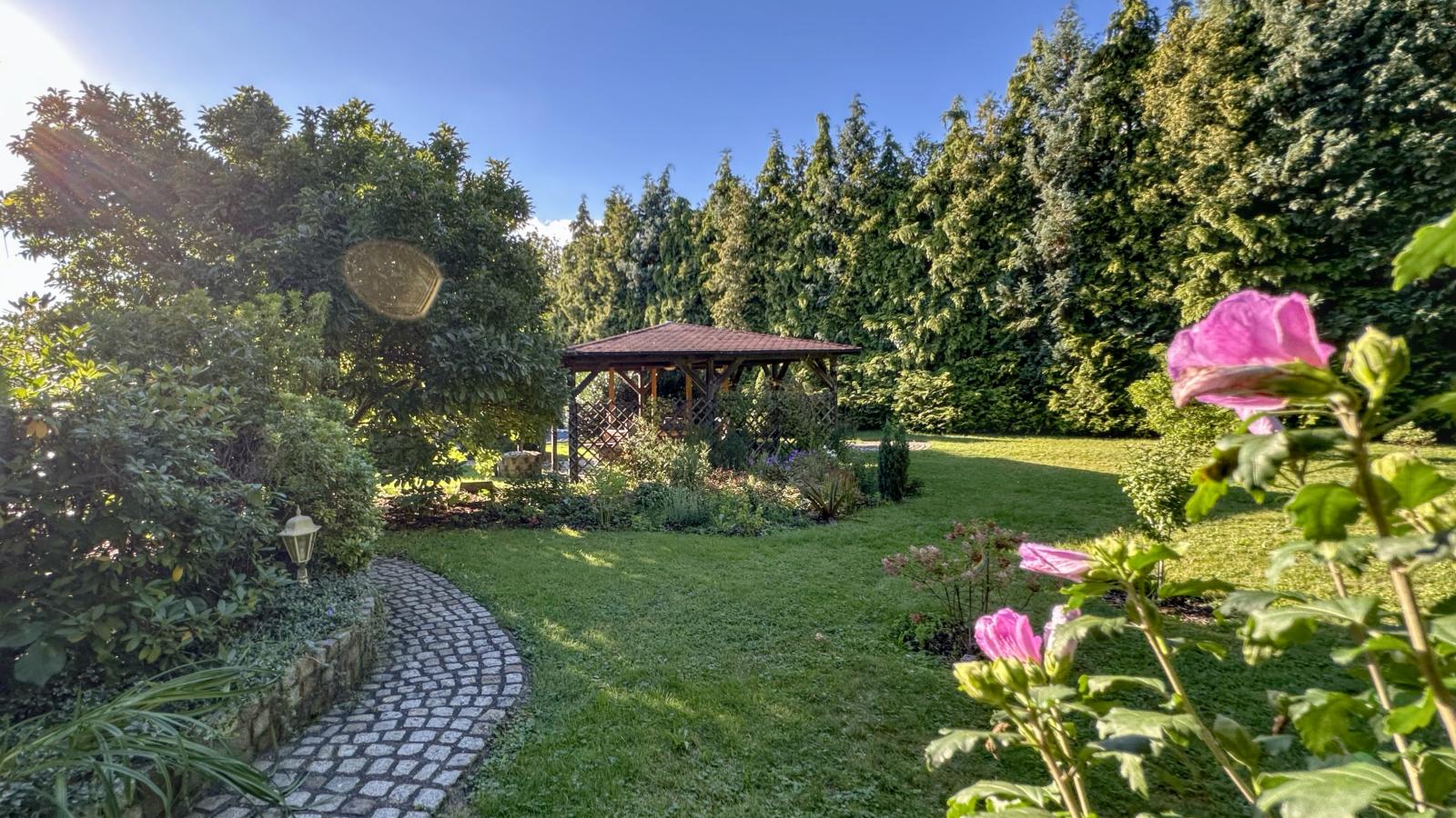 Vogel-Garten Sommer