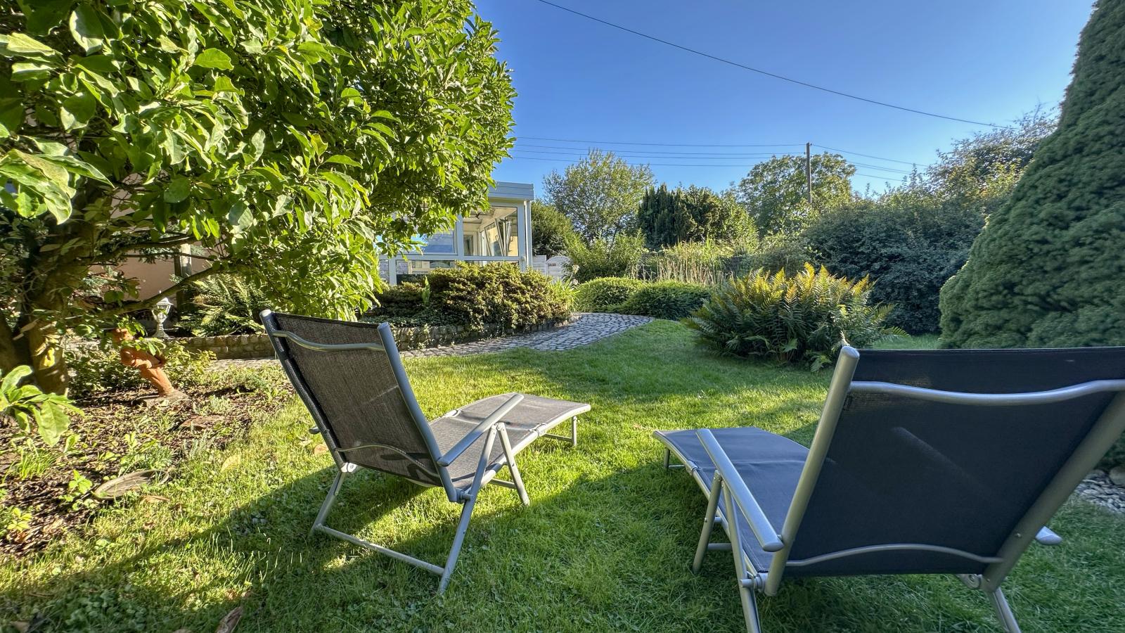 Vogel-Garten Sommer