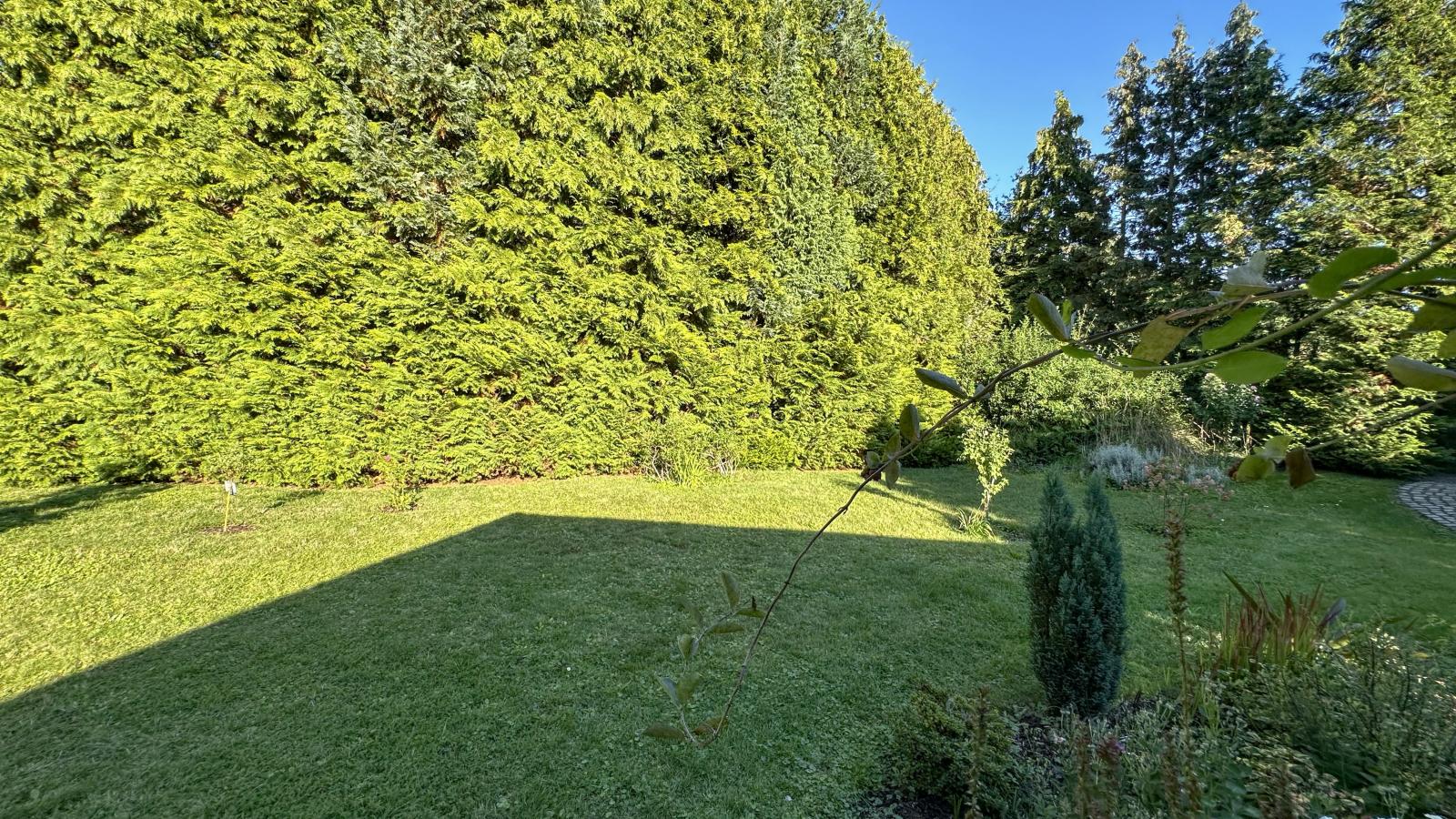 Vogel-Garten Sommer