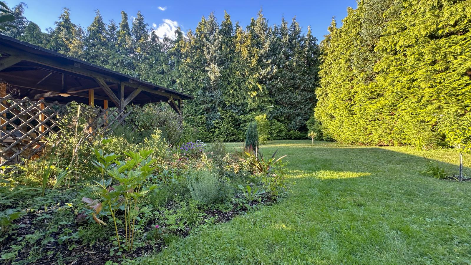 Vogel-Garten Sommer