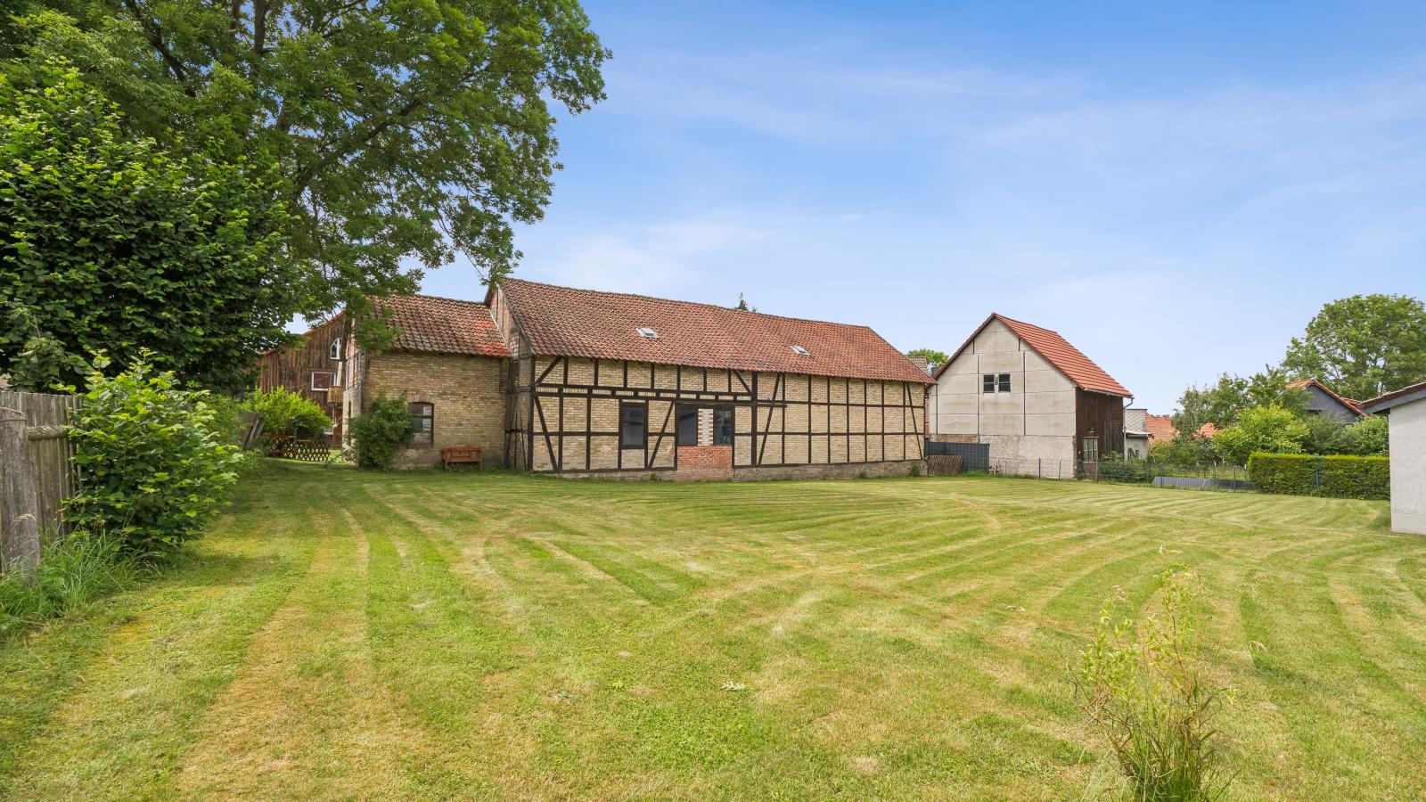 Im Bodetal I - Garten Sommer