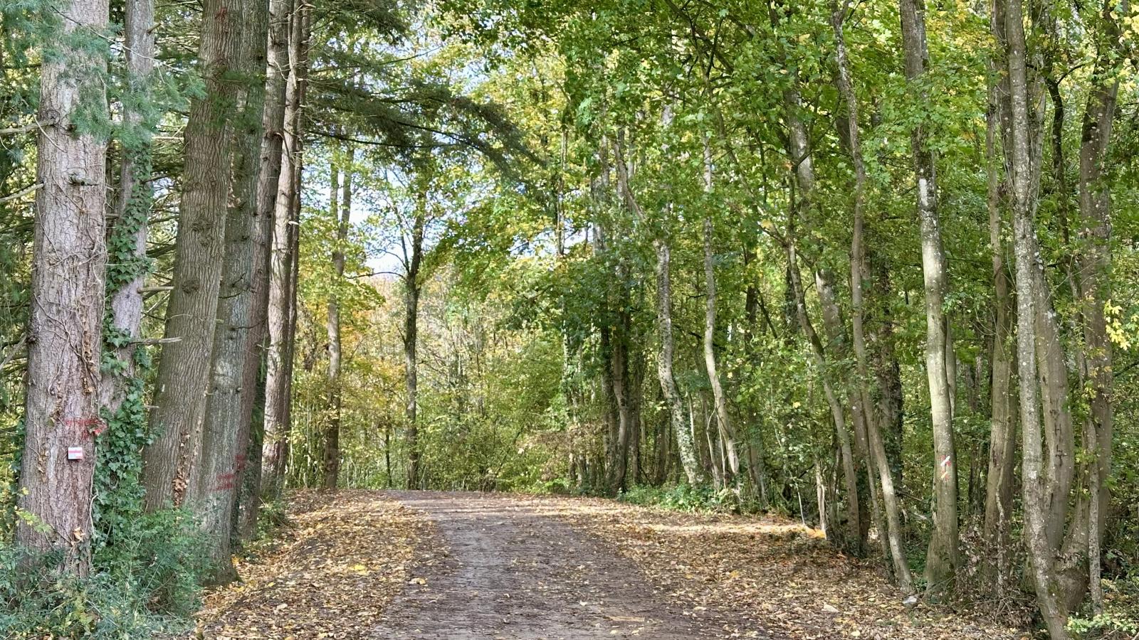 Durbuy Bato-Gebieden zomer 1km