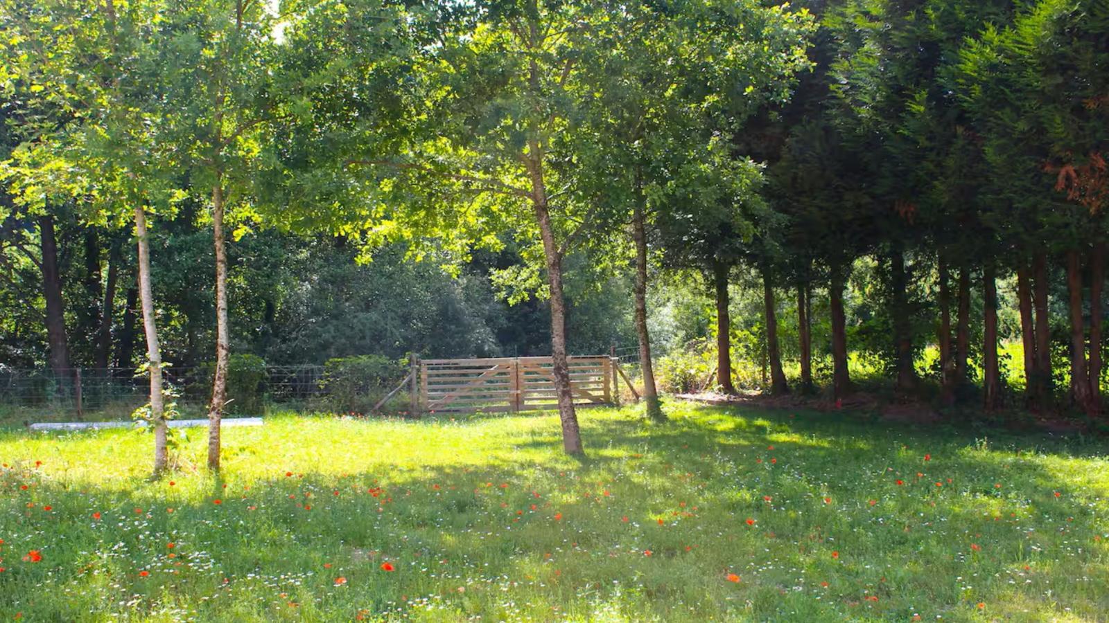 Le Moulin de Lachalade-Gardens in summer