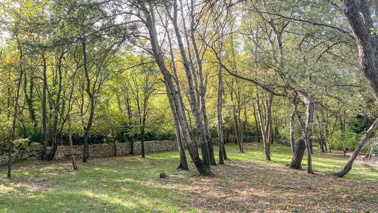 LAVANDE-Tuinen zomer