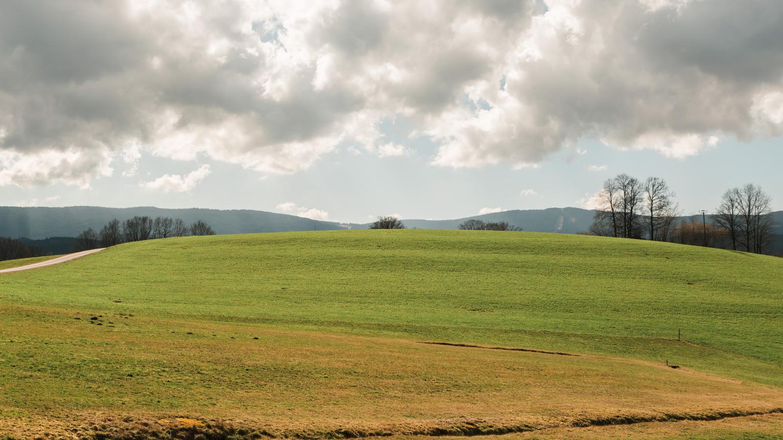 Im Bayerischen Wald-View in summer