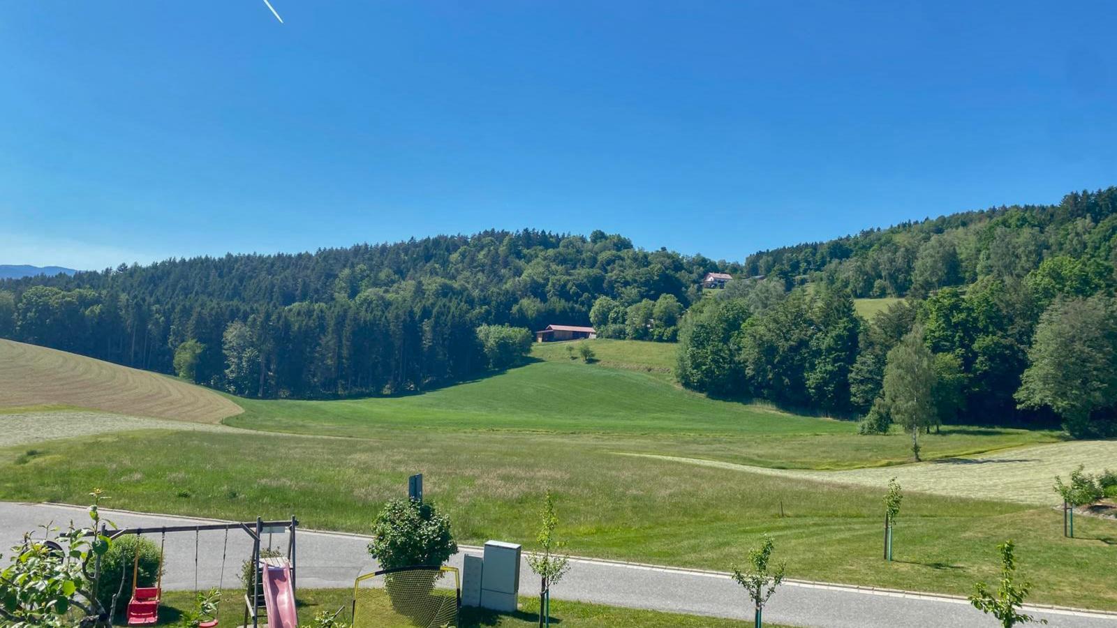 Im Bayerischen Wald - Vue d'été