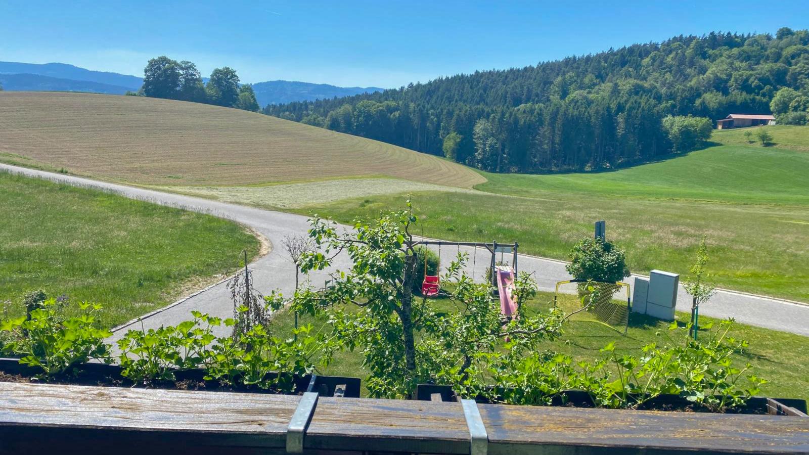 Im Bayerischen Wald