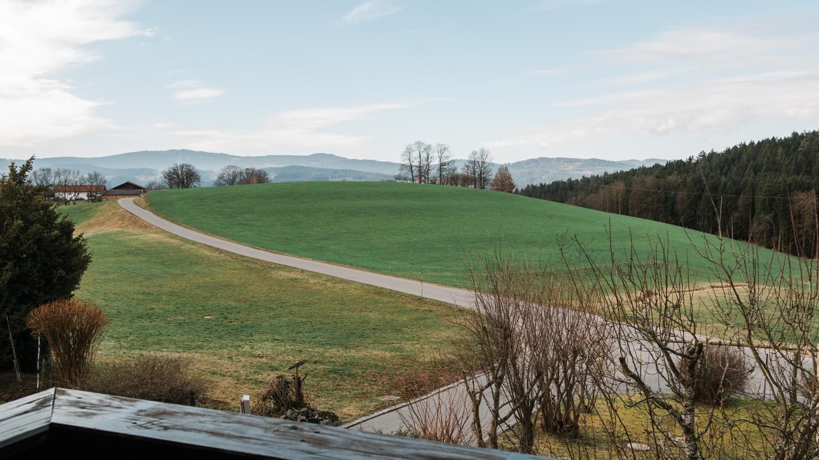 Im Bayerischen Wald-View in summer