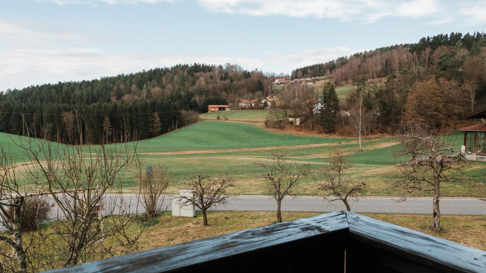 Im Bayerischen Wald