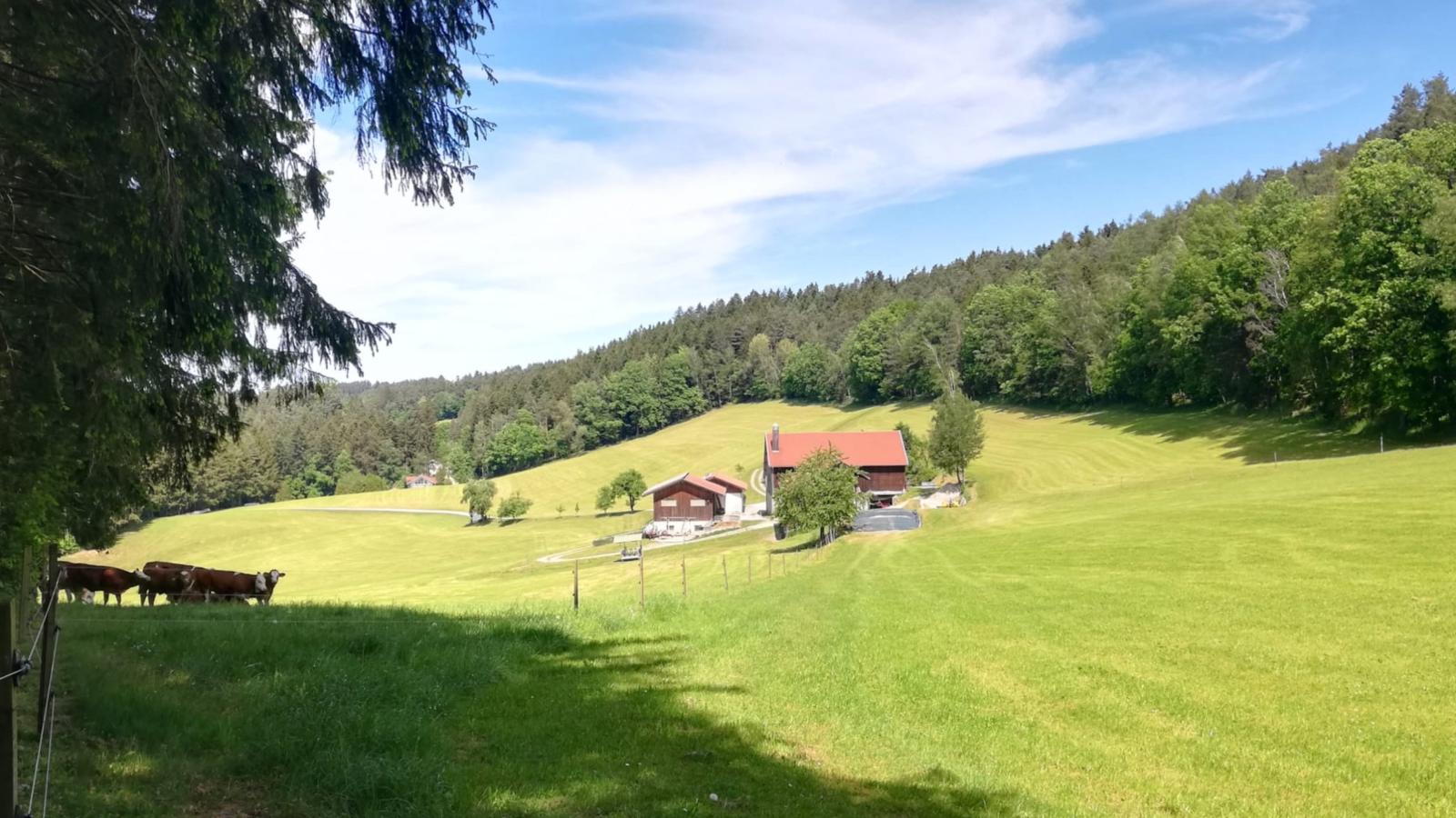 Berghof-Extérieur été