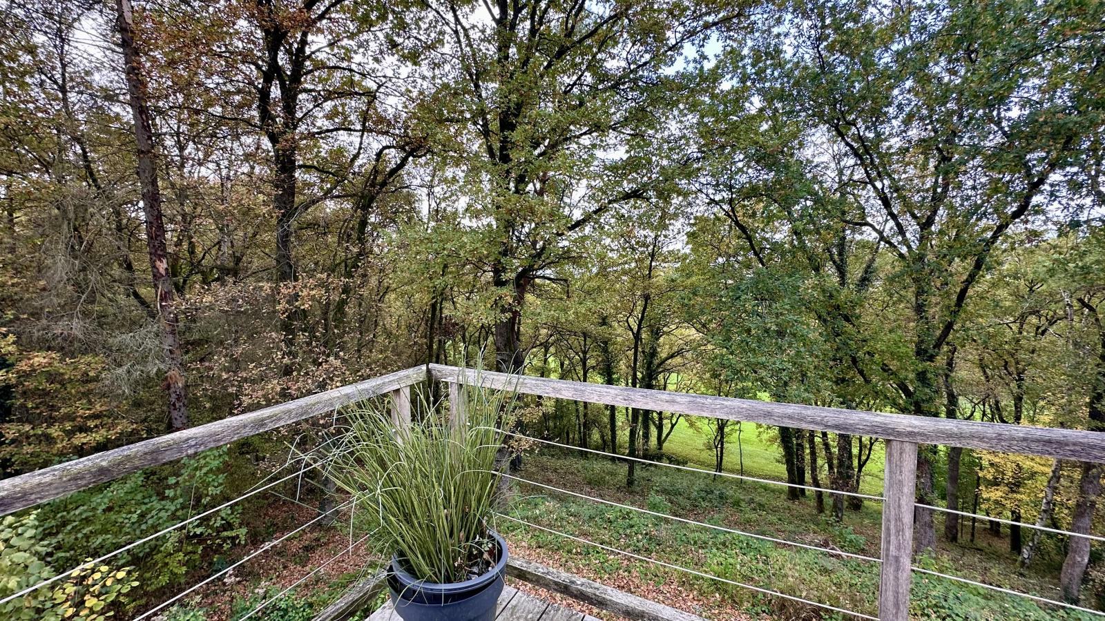 The Green-Vue d'été