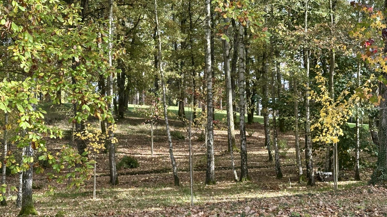 The Green-Zones été à 1 km