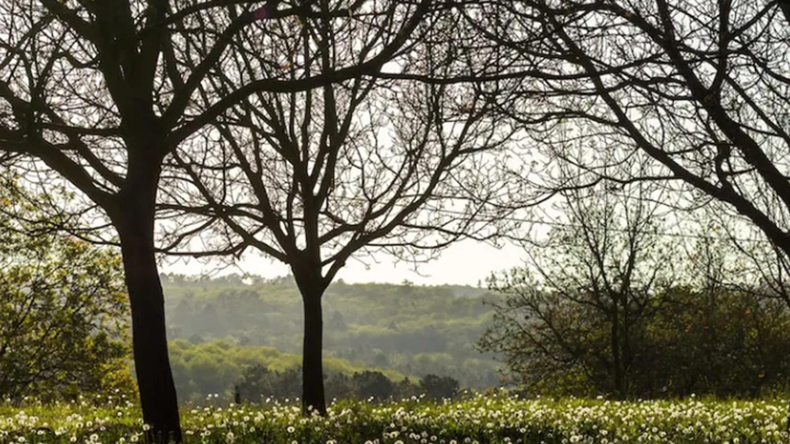 La Roque Haute-Tuinen zomer