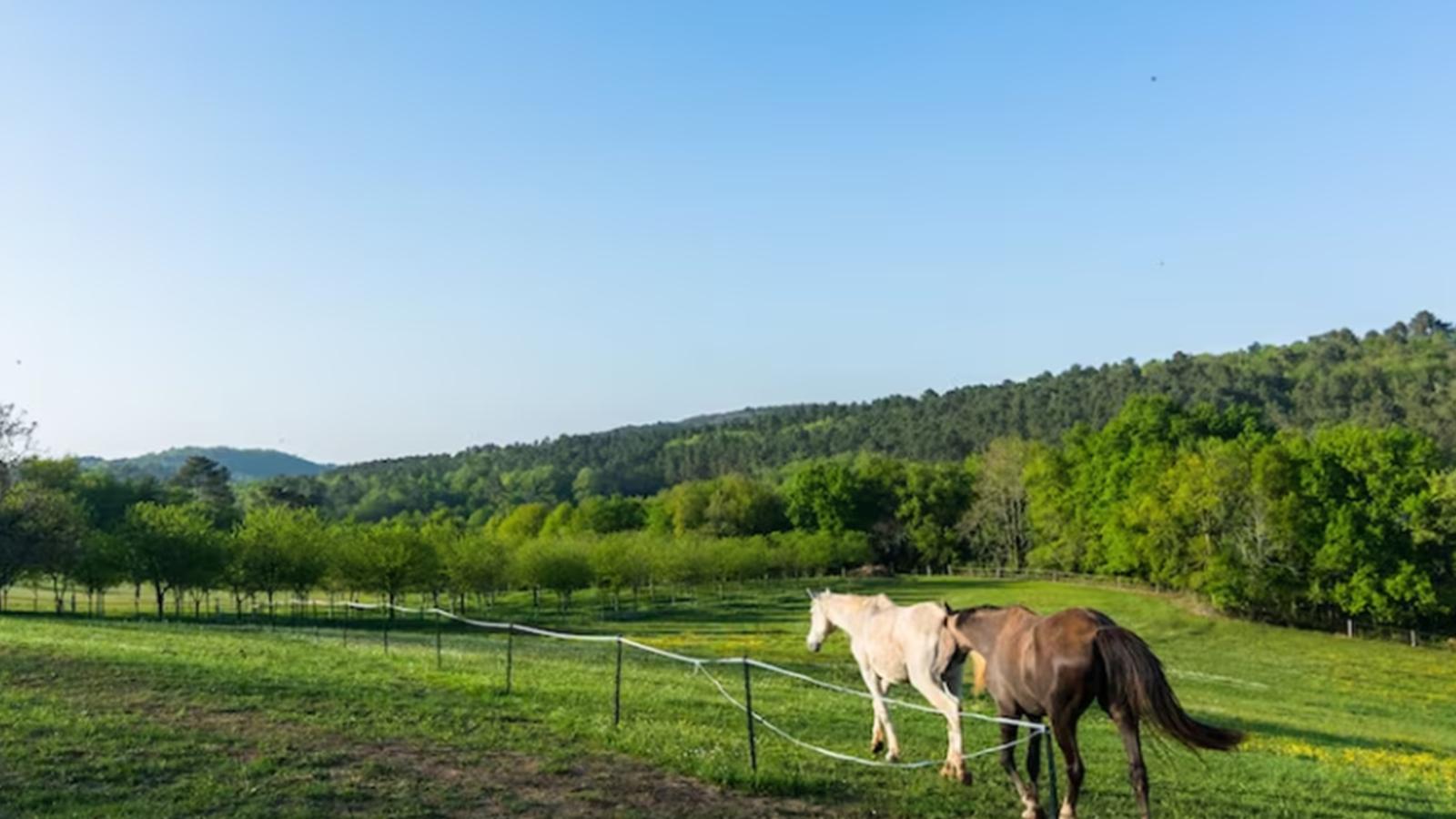 La Roque Haute-Uitzicht zomer