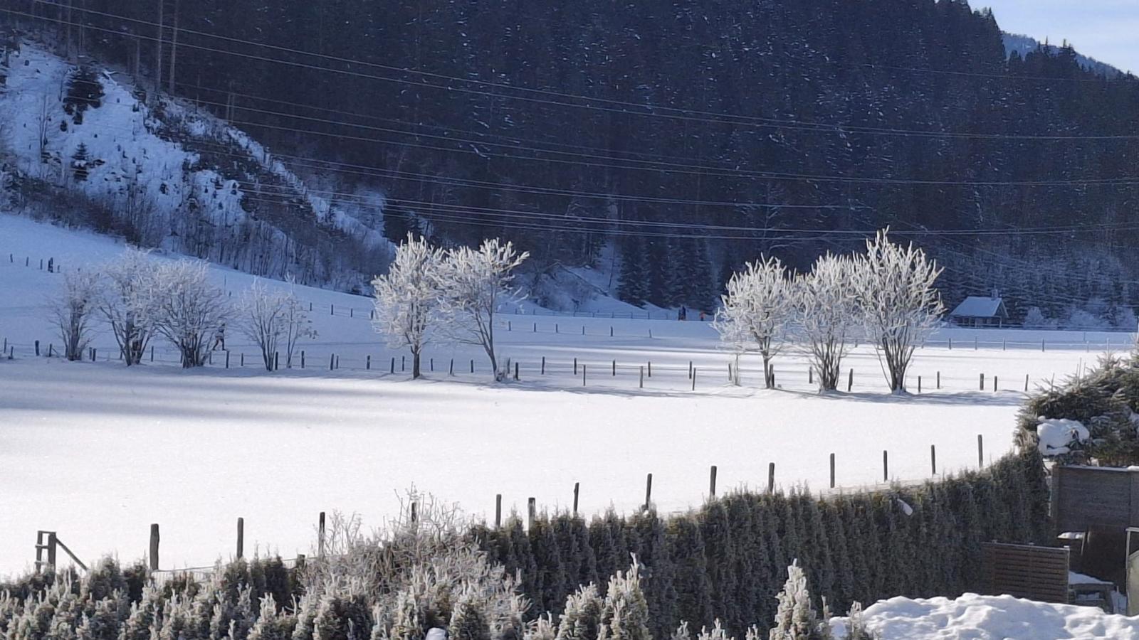 Joss-Gebied winter 1km