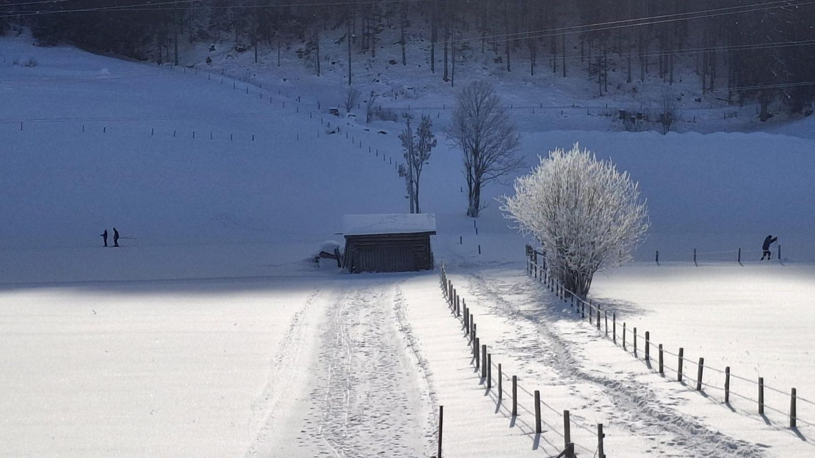 Joss-Gebied winter 1km