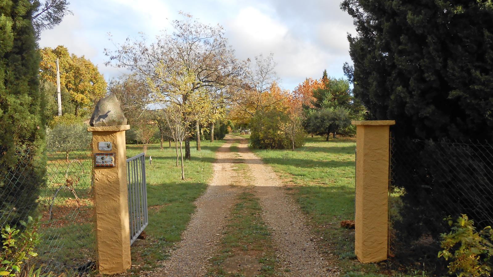 Le clos de la Tuf-Jardins en été