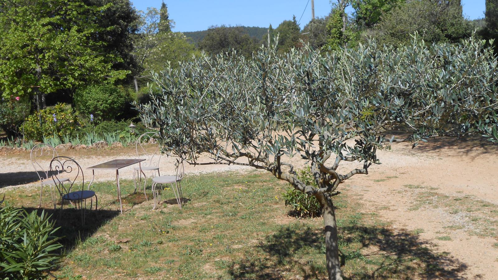 Le clos de la Tuf-Jardins en été