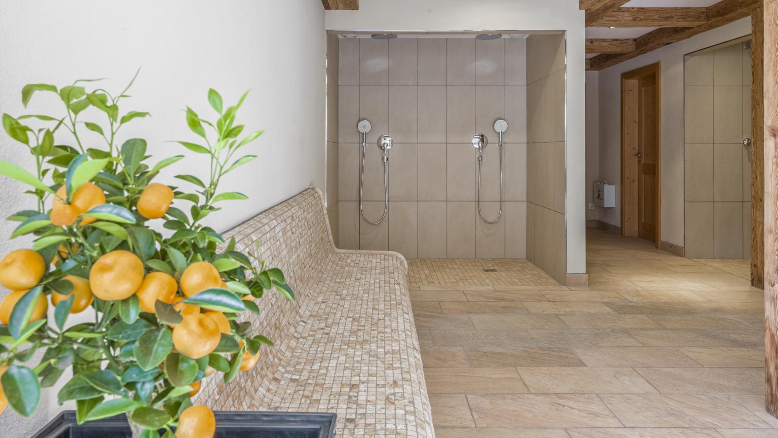 Apartments Next To The Ski Lift Ground Floor 1 - Süd-Wellness