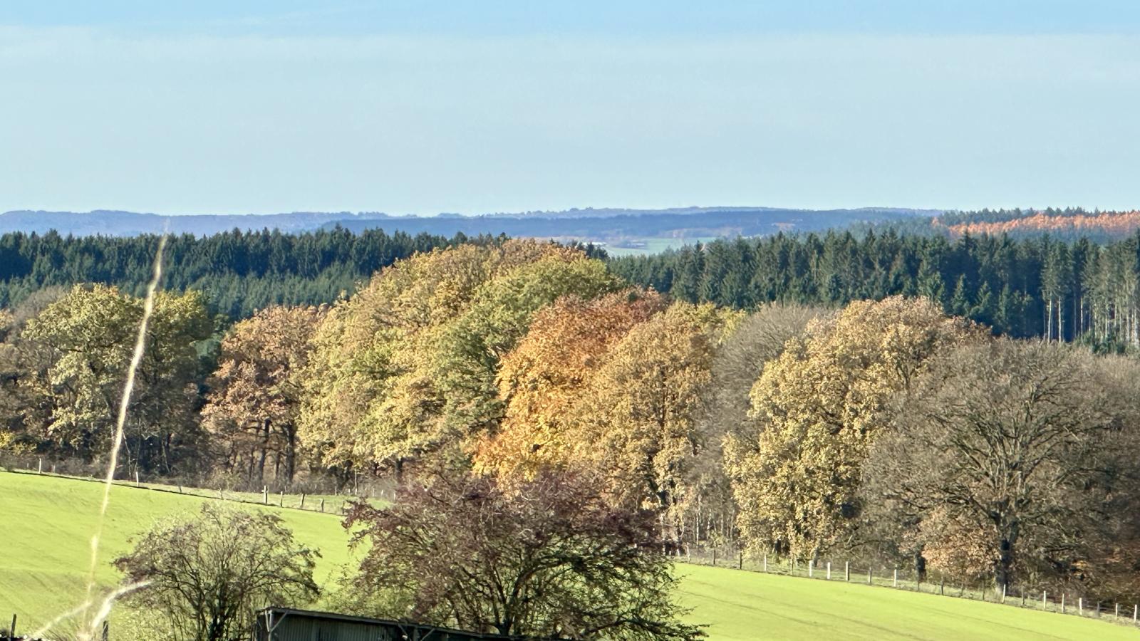 Petit Wilogne-Aussicht Sommer