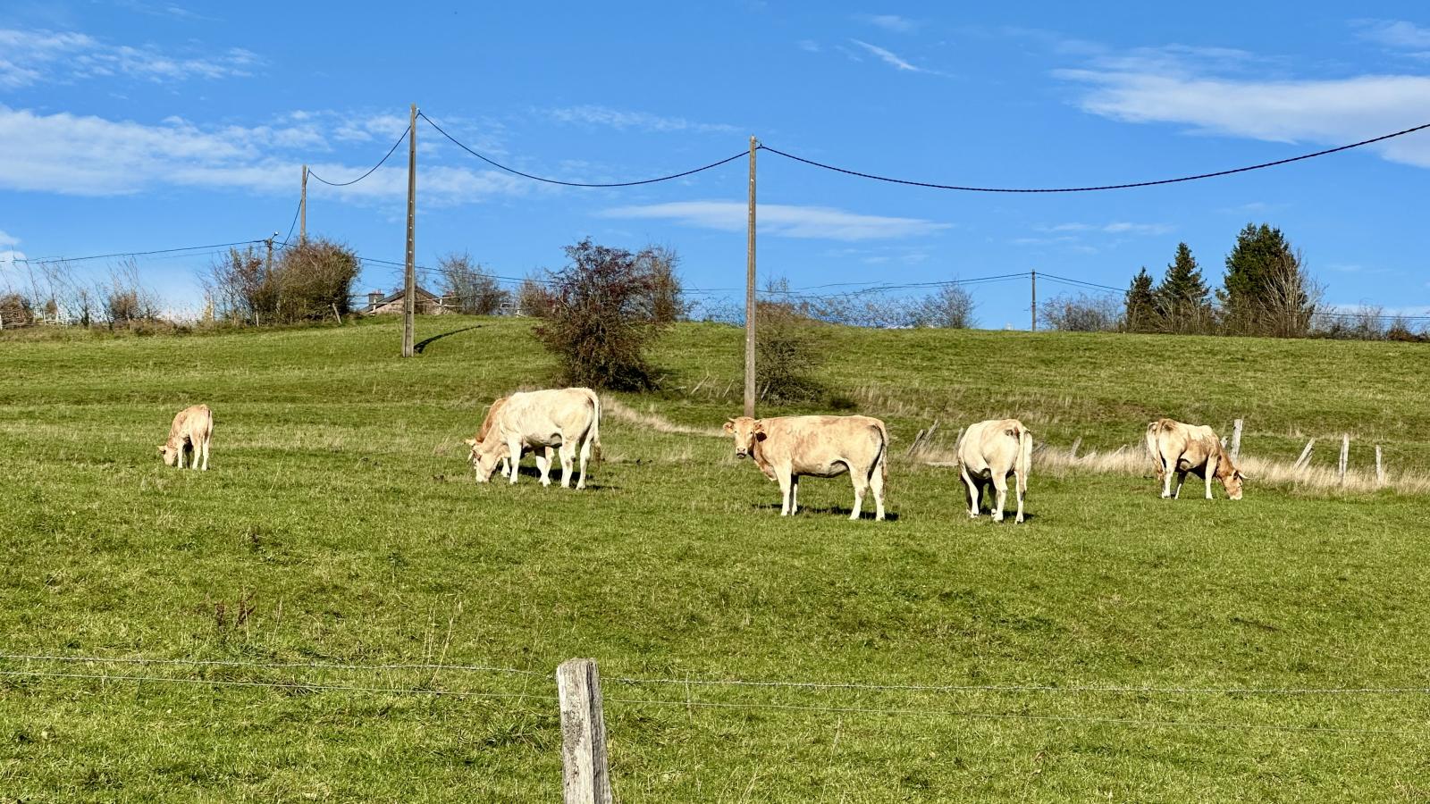 Petit Wilogne-Gebiete Sommer 1 km