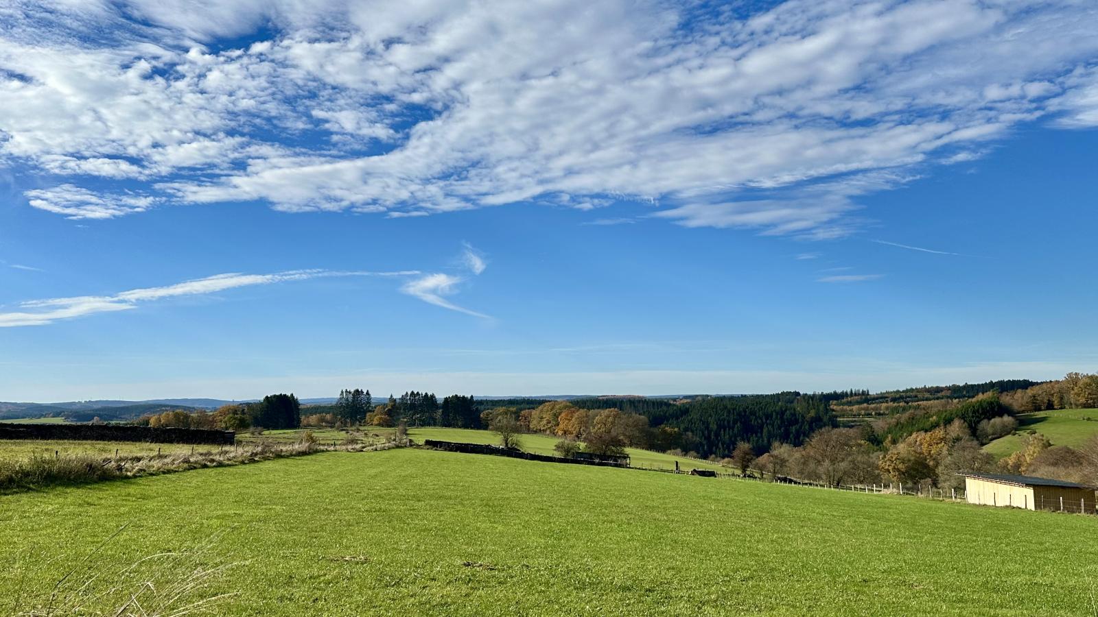 Petit Wilogne-Aussicht Sommer
