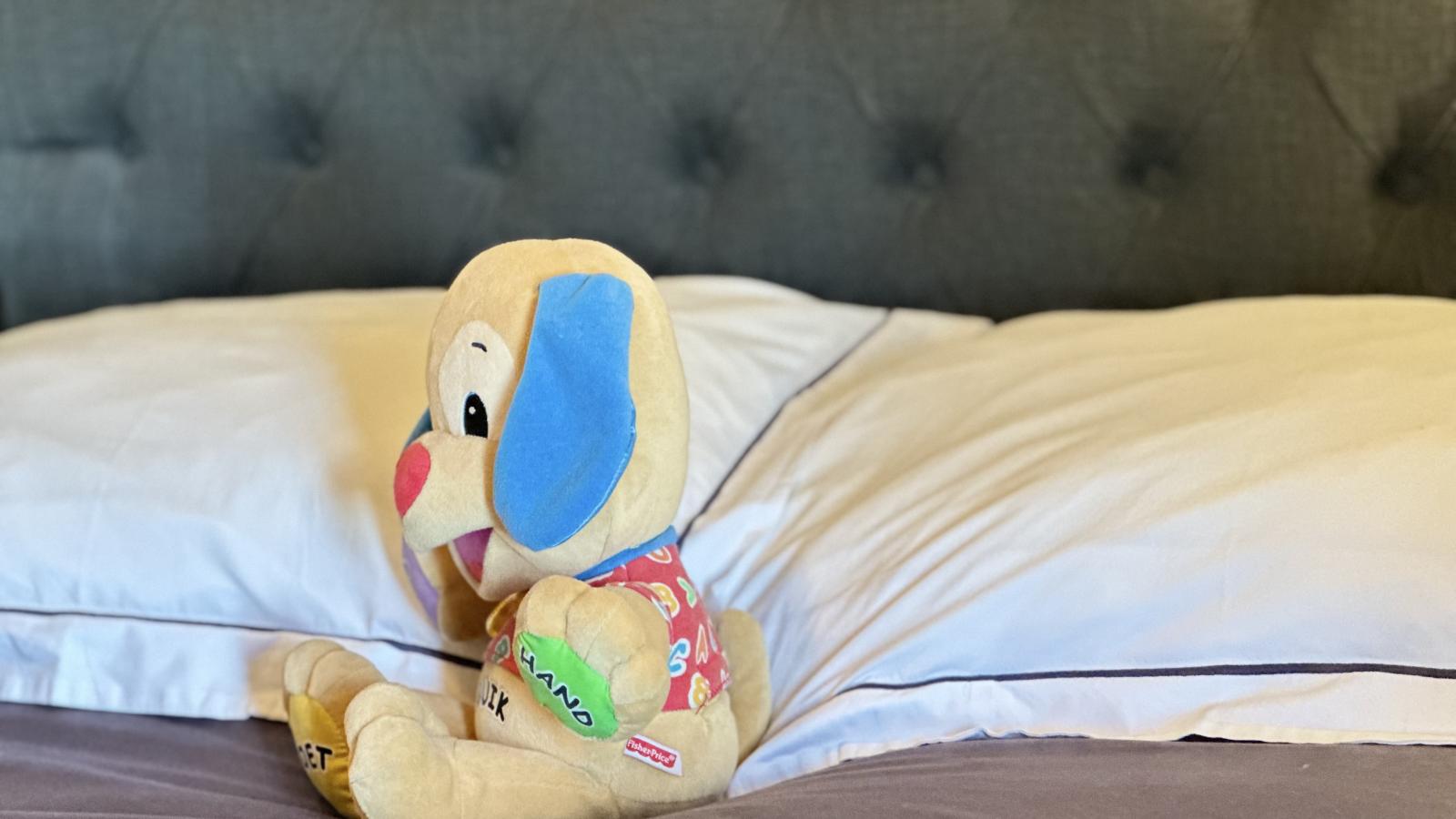 Petit Wilogne-Ambiente