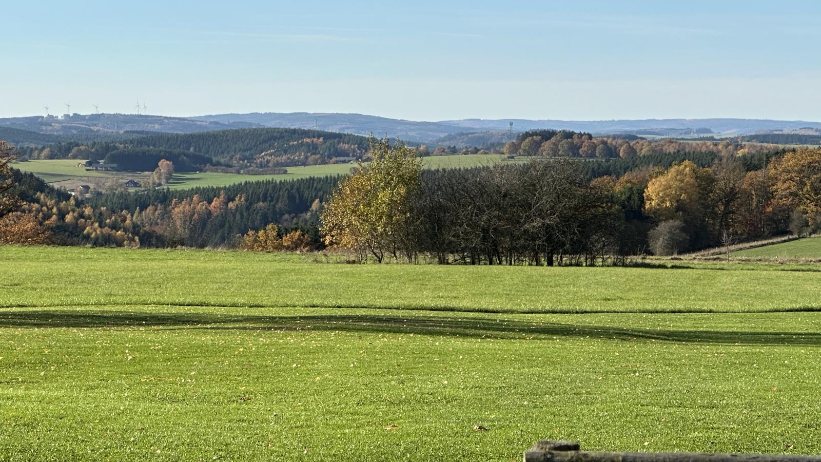 Petit Wilogne - Uitzicht
