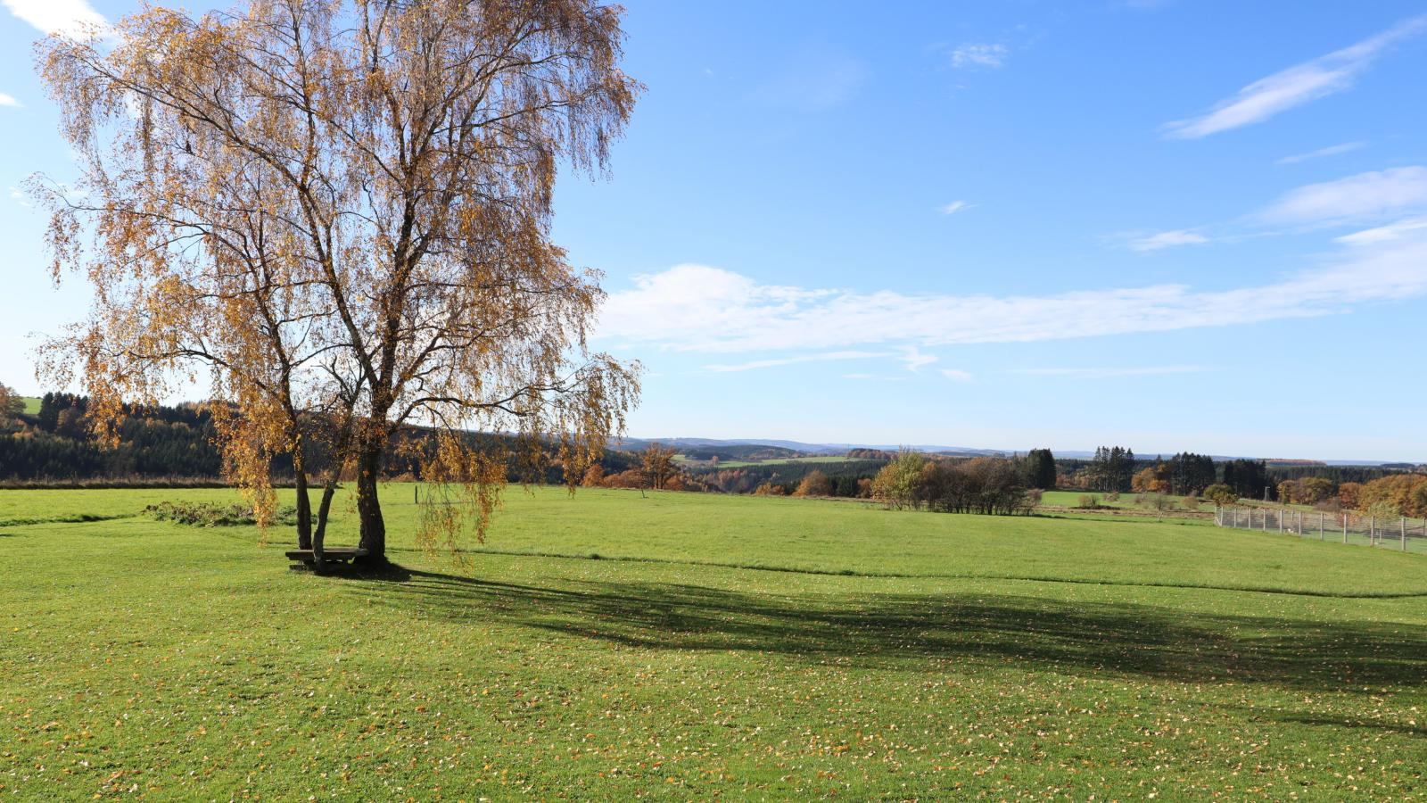 Petit Wilogne-Garten Sommer
