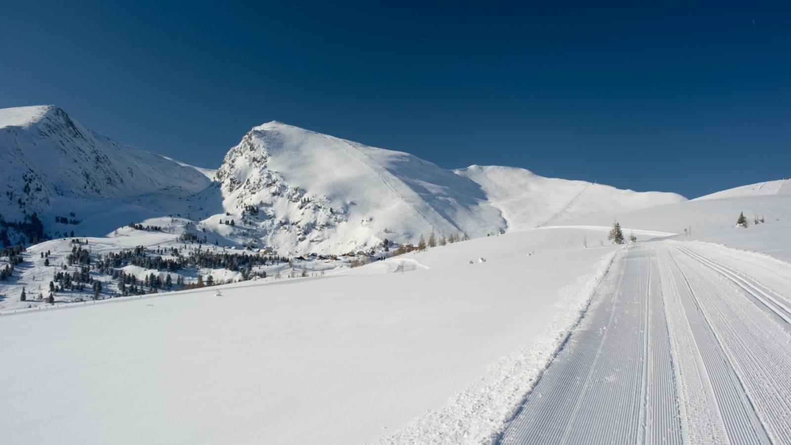Designchalet Heidi Alm - Gebied winter 1km