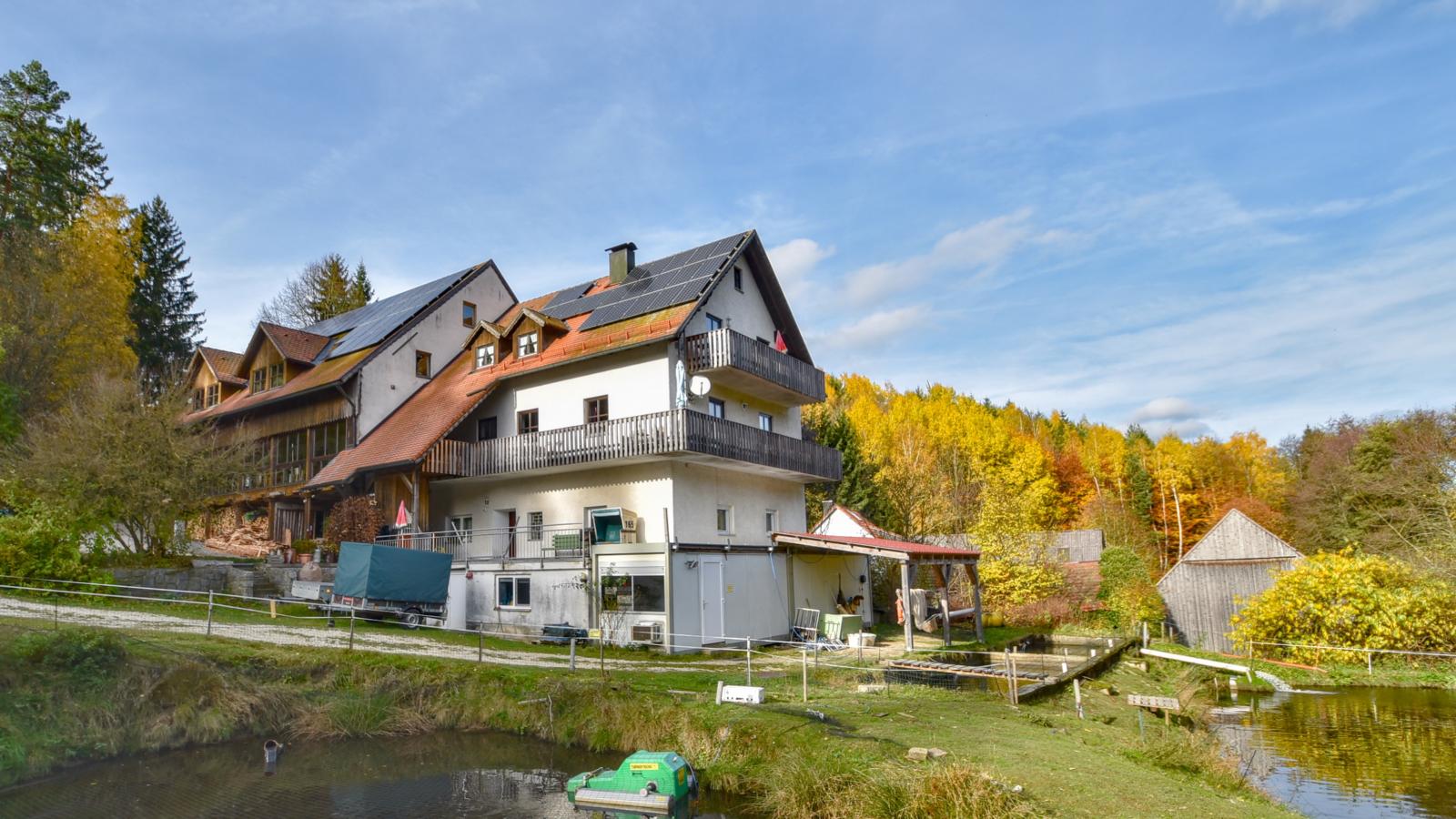 Weiherblasch II-View in summer