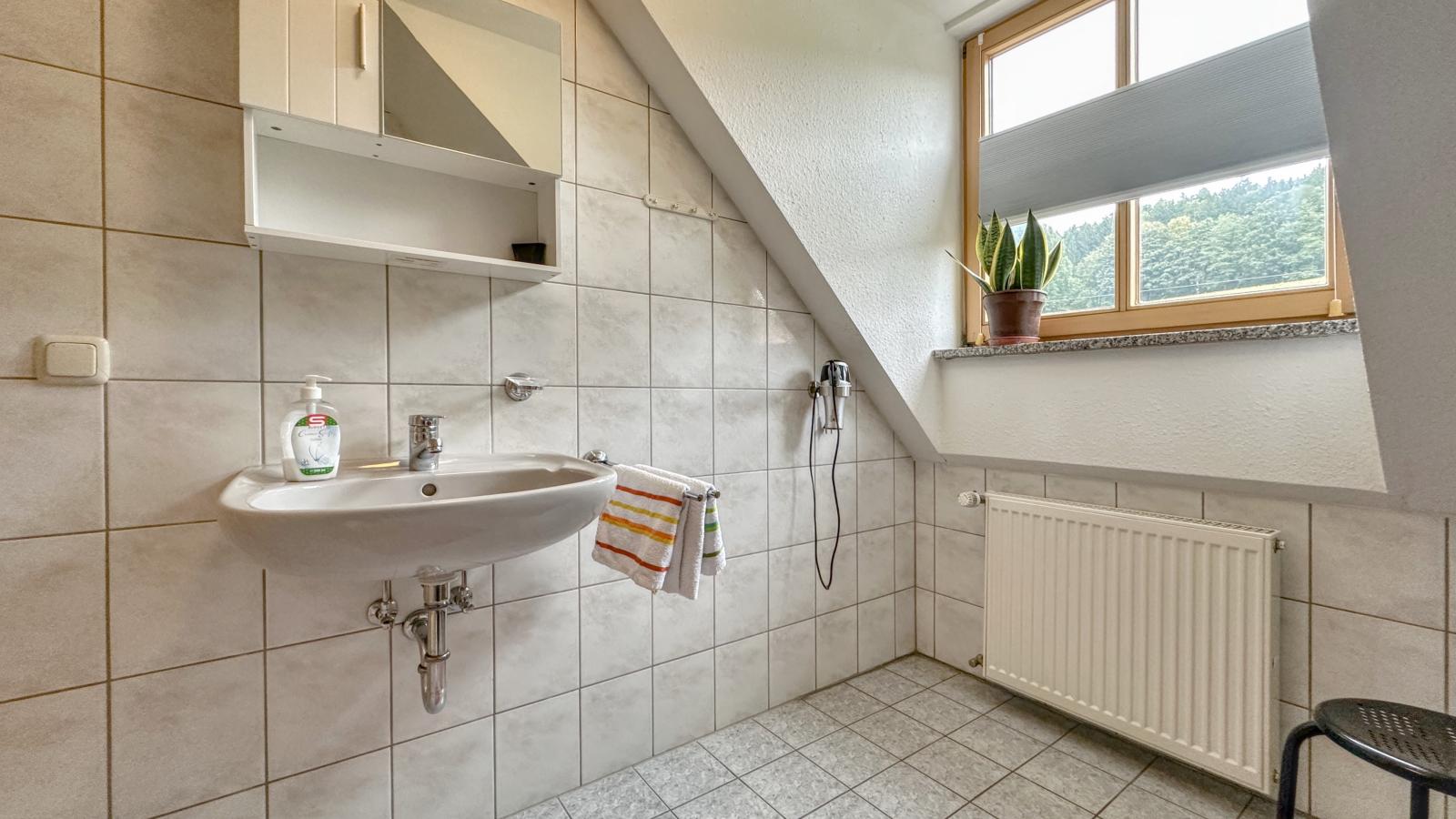 Blumenhof II-Bathroom
