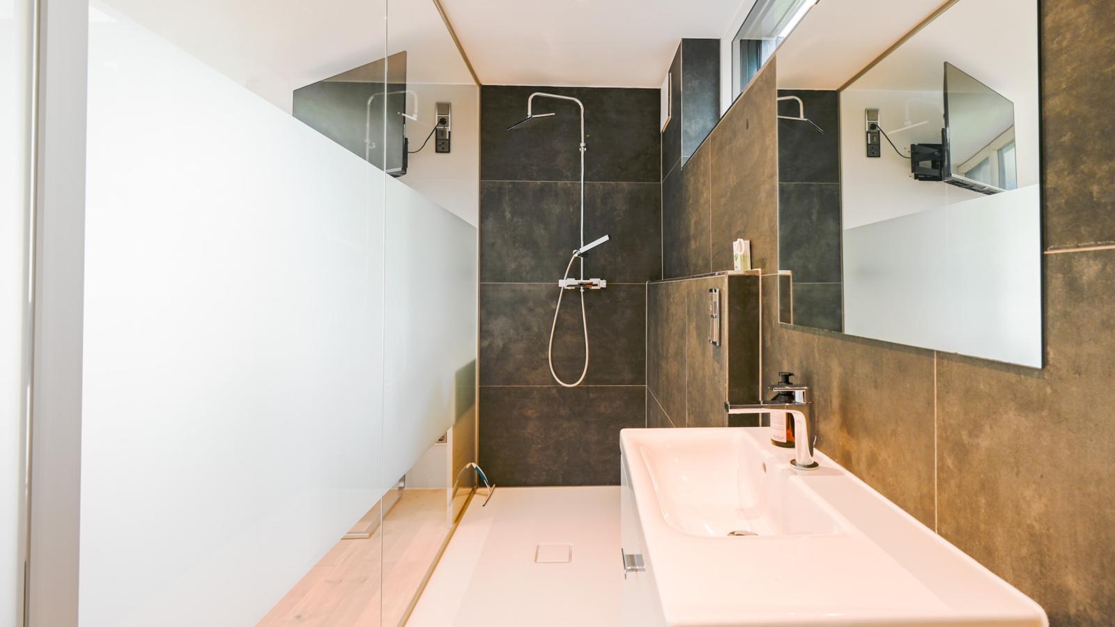 Alpin Chalet ARTE-Badkamer