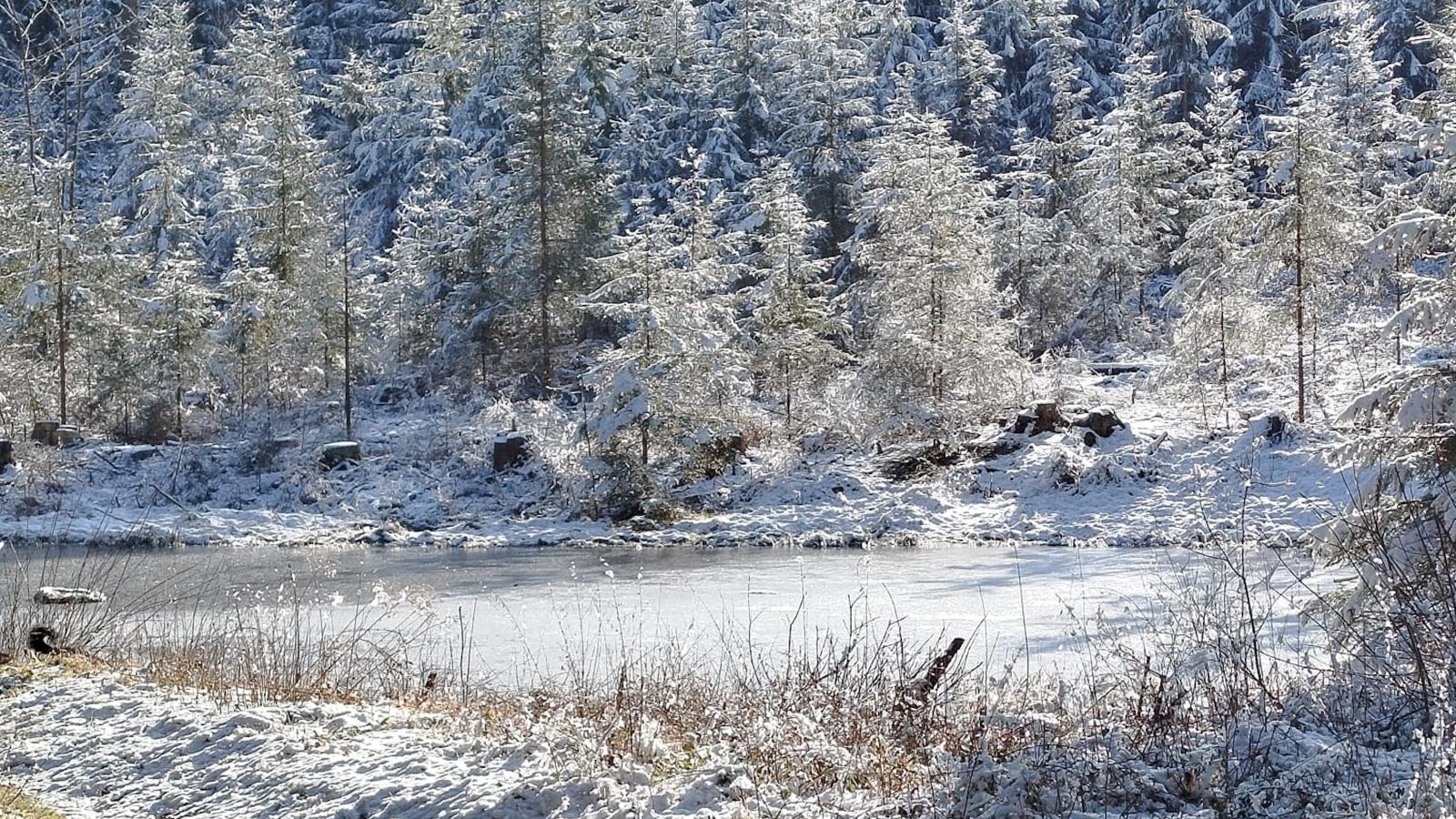 Am Sonnenblick-Gebied winter 5km