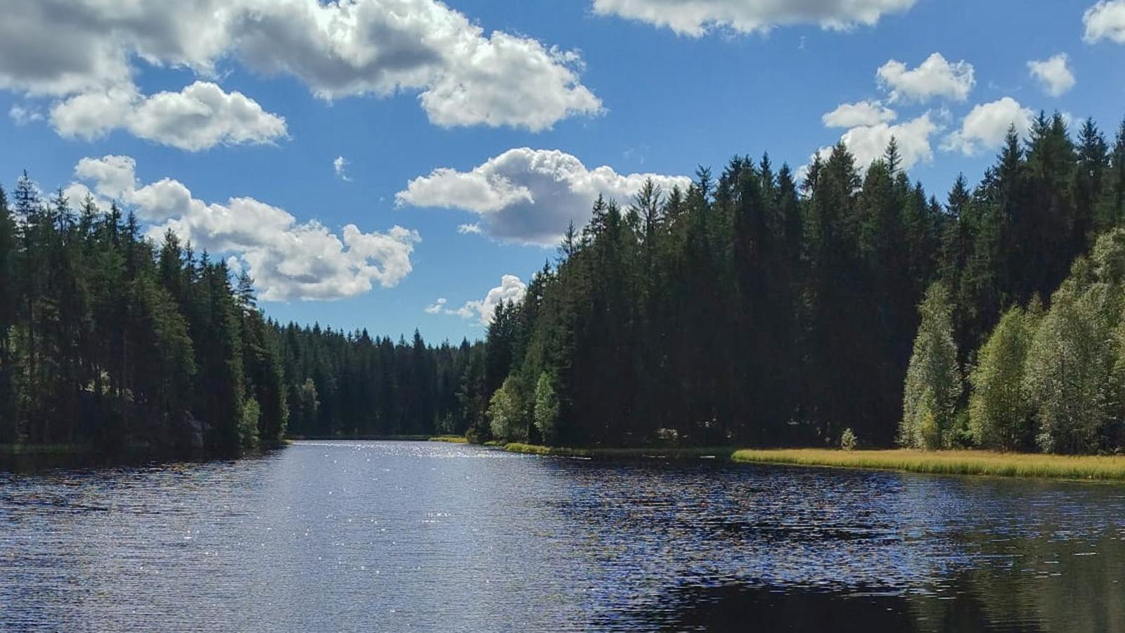 Am Sonnenblick-Gebieden zomer 5km