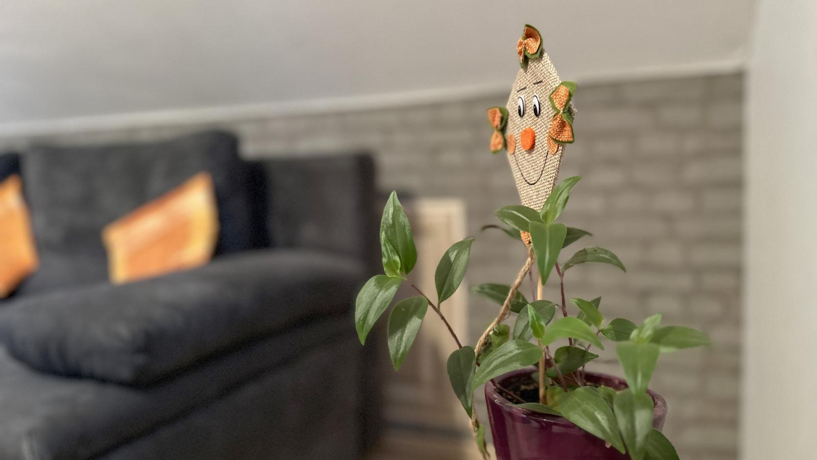 Am Sonnenblick-Sfeer