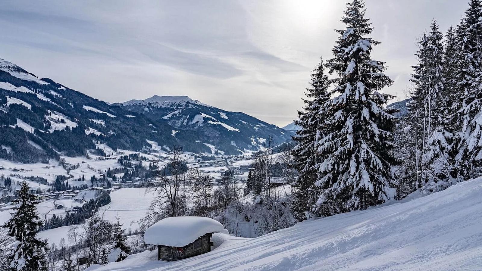 Apartments Waldinger Top 2-Gebiet Winter 1 km