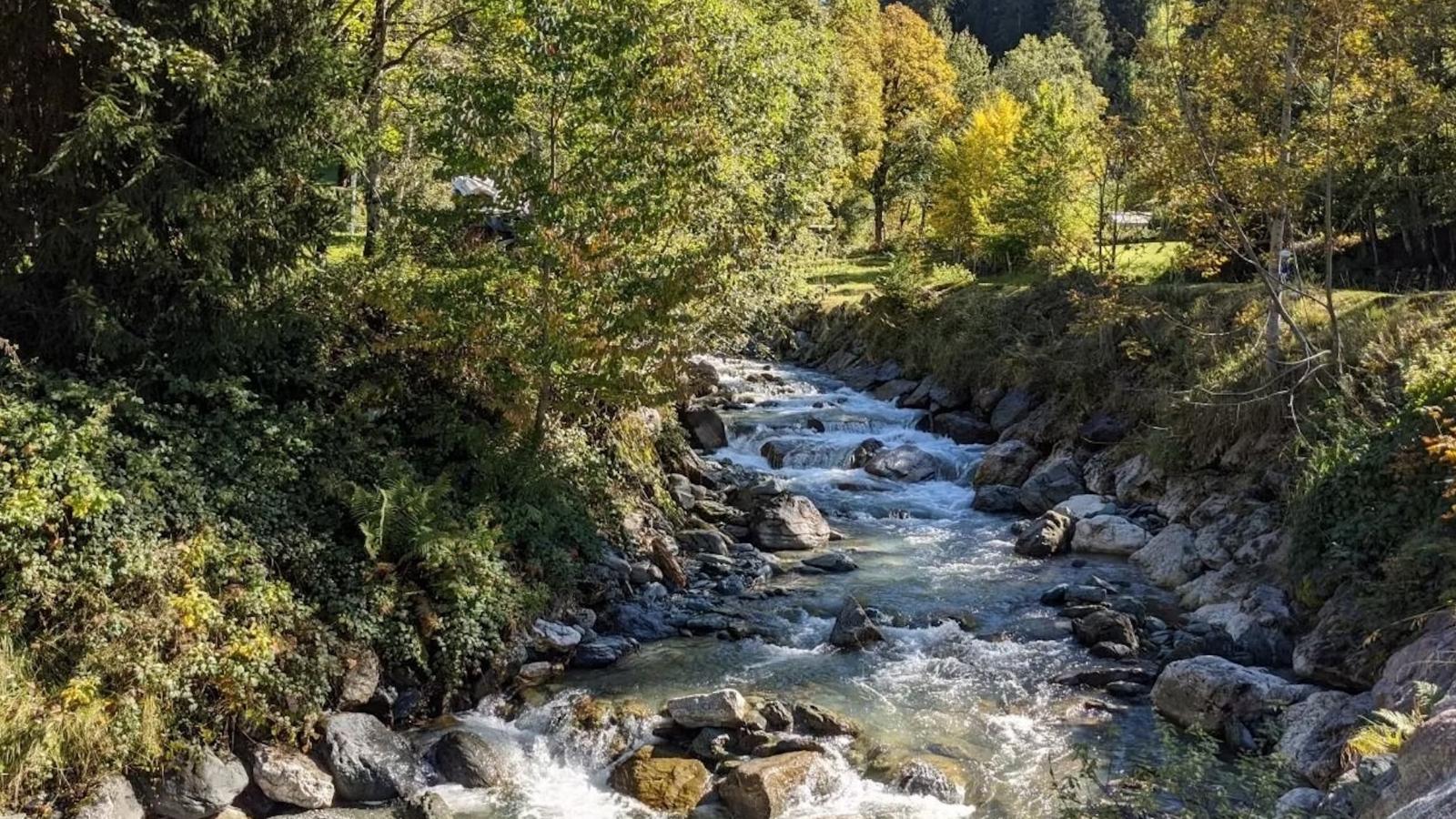 Apartments Waldinger Top 4-Gebiete Sommer 5 km