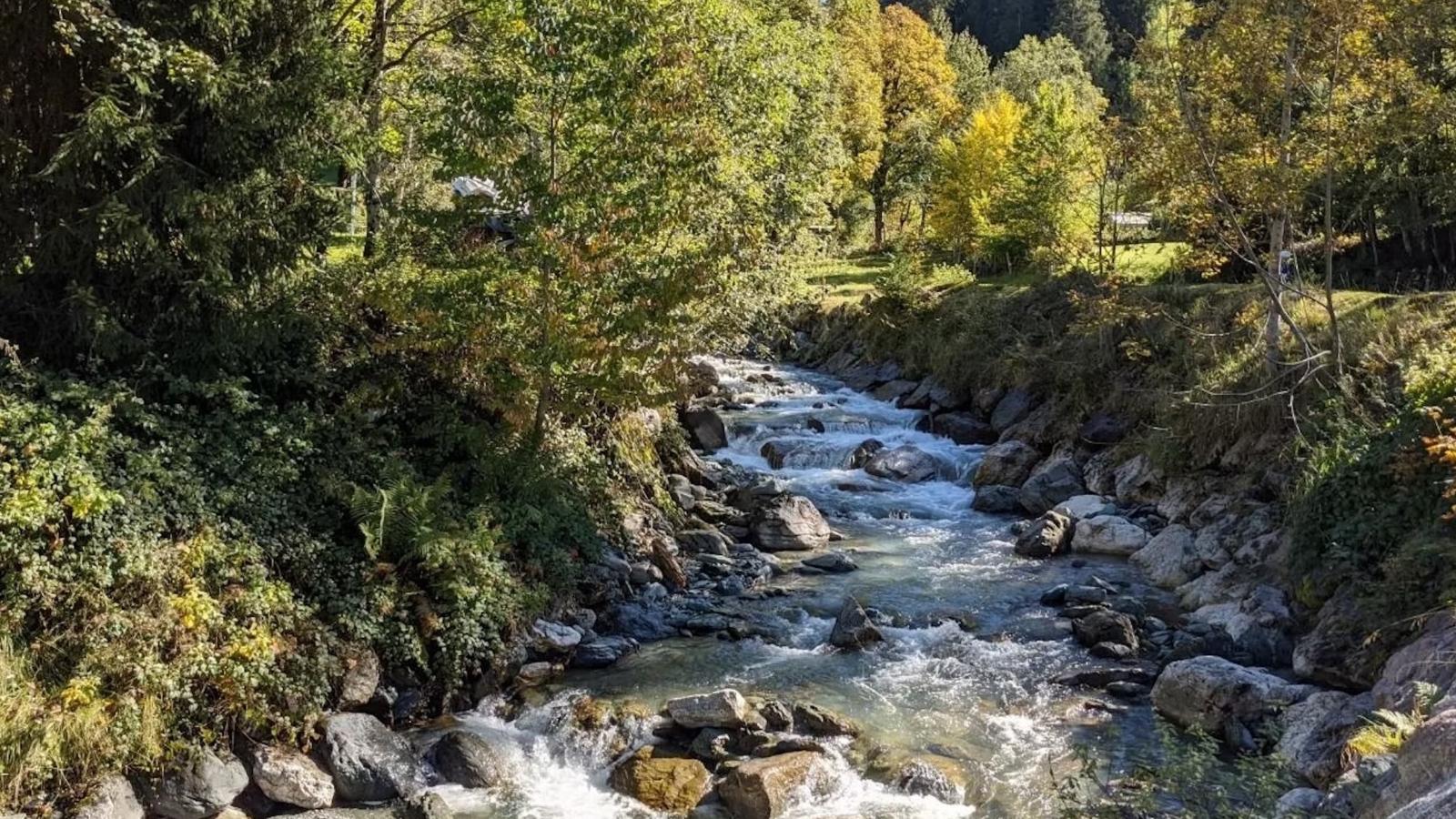 Apartments Waldinger Top 3 und 4-Gebiete Sommer 5 km