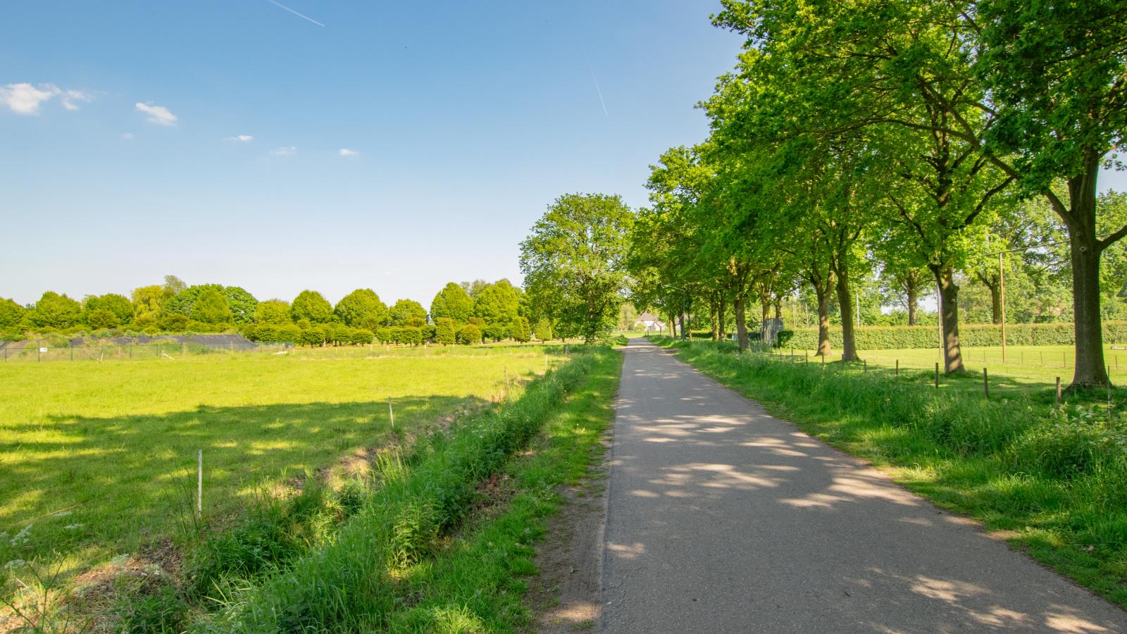 Landzicht - Gebieden zomer 1km