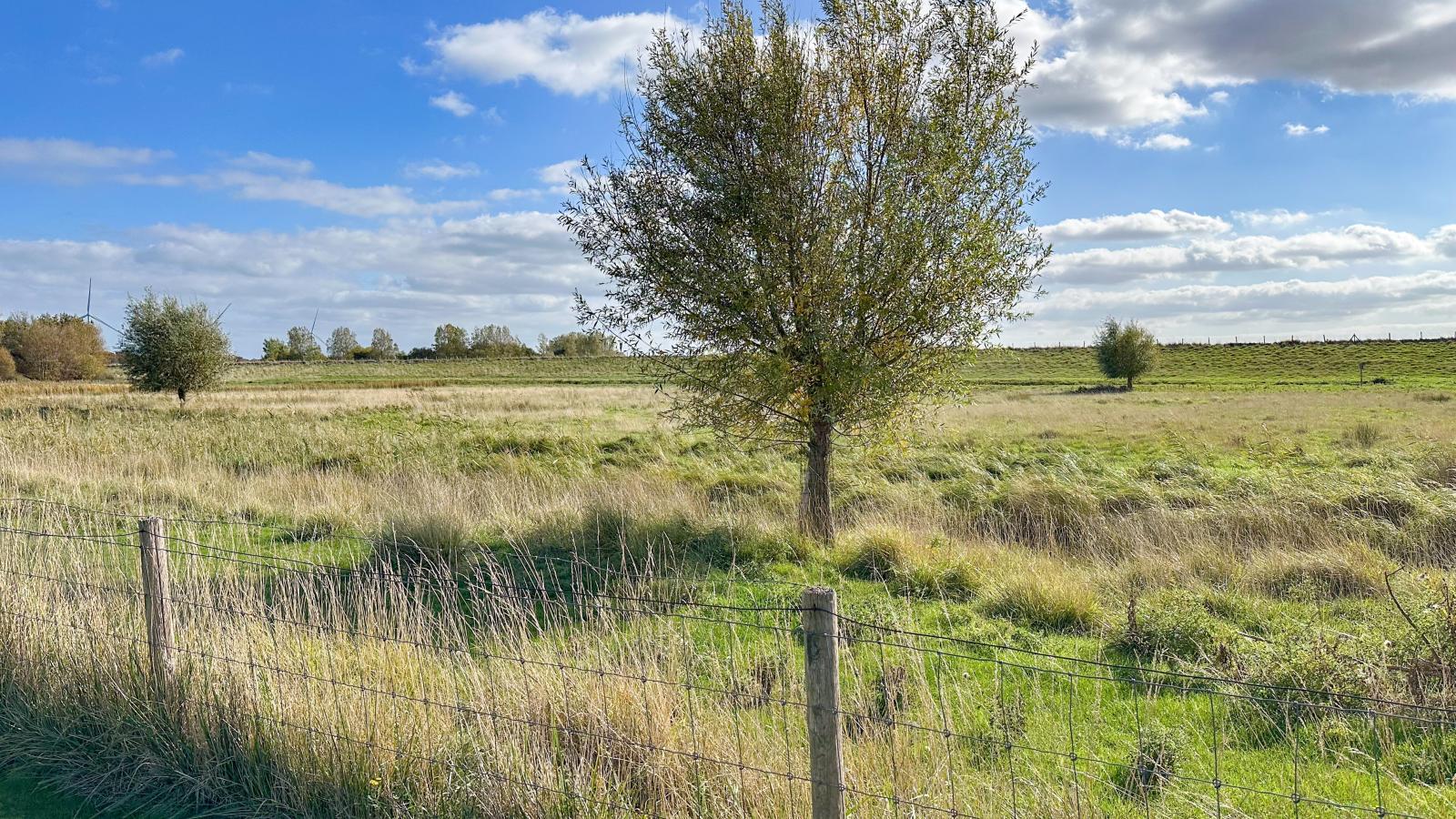 Dune Design 39-Uitzicht zomer