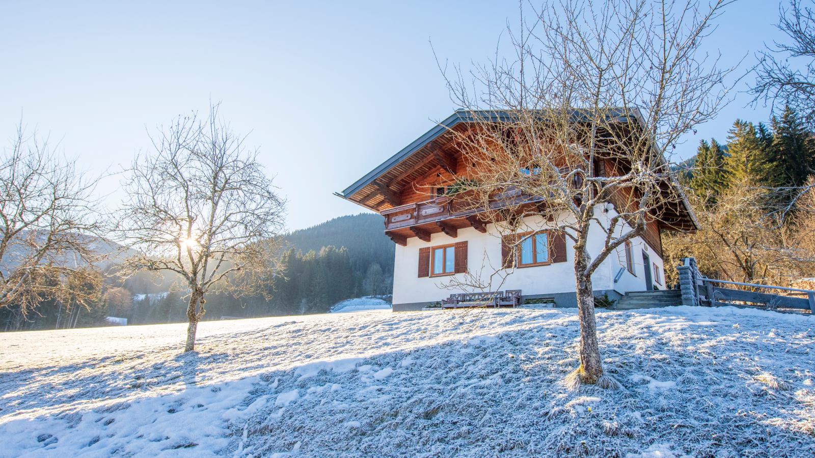 Pehambauer S-Exterieur winter