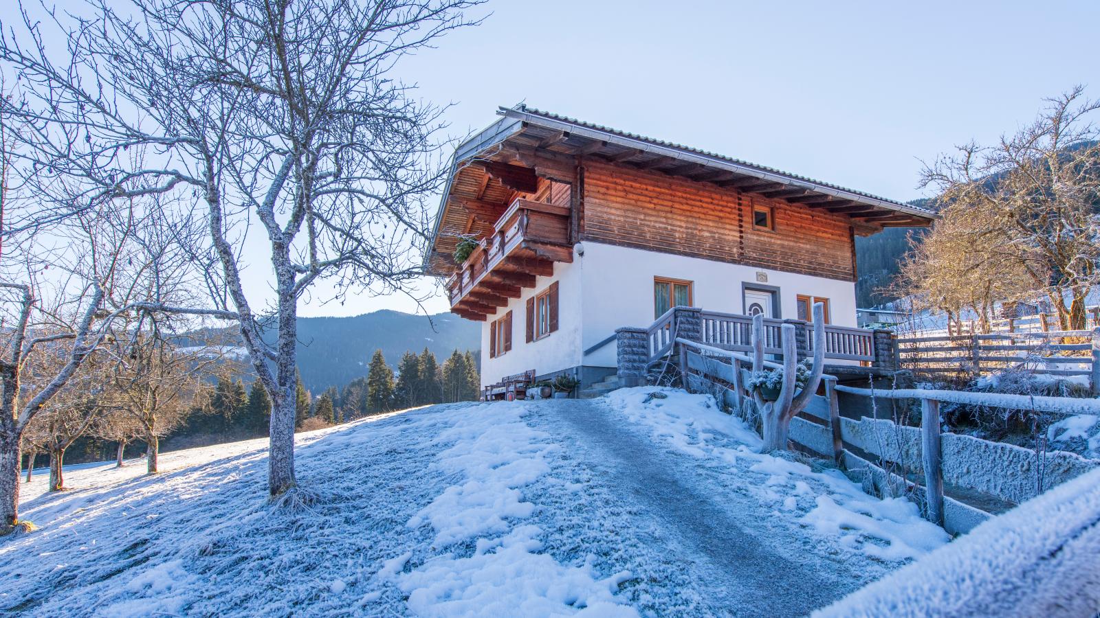 Pehambauer S-Exterieur winter