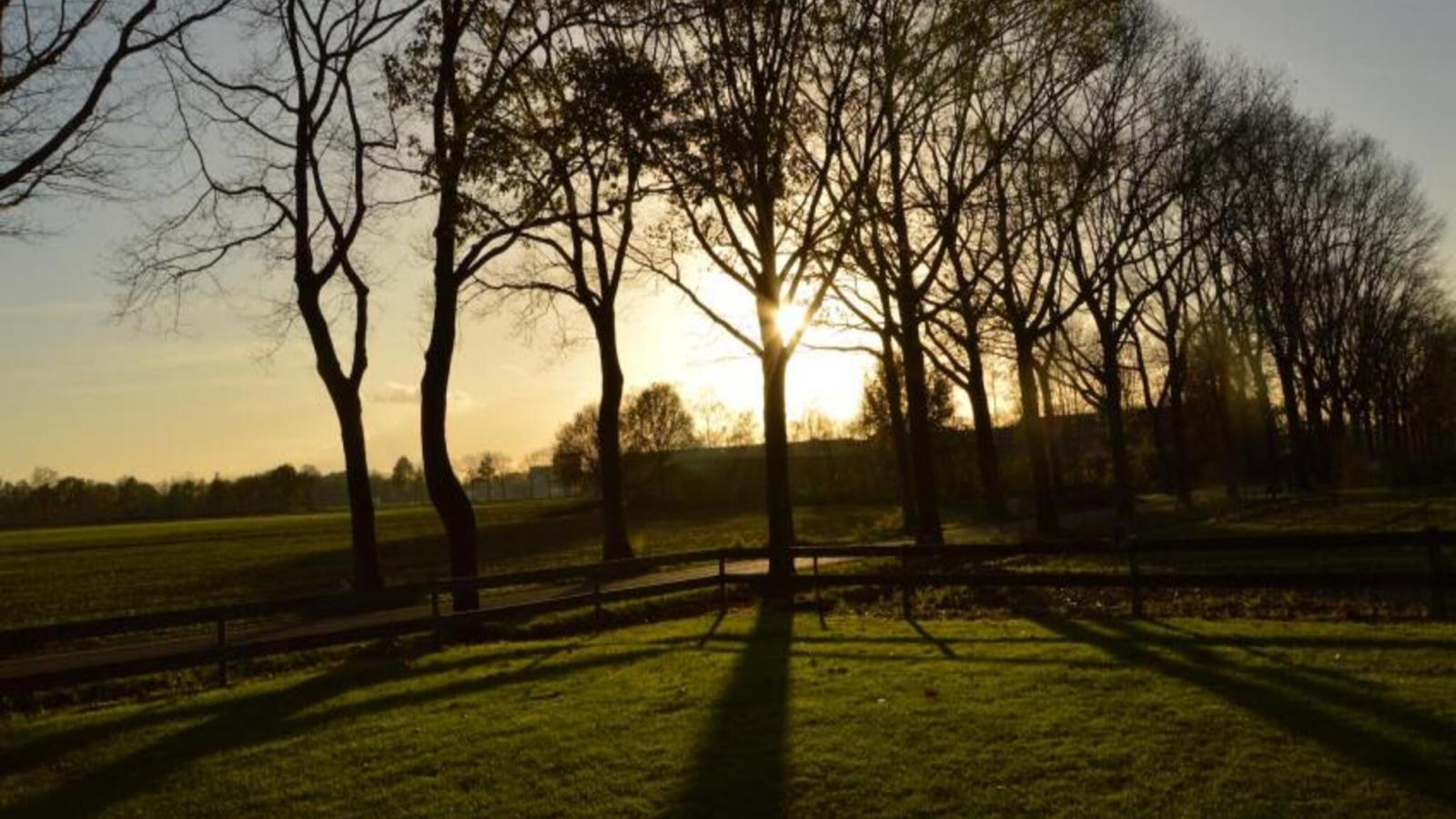 De open schuur-Uitzicht zomer
