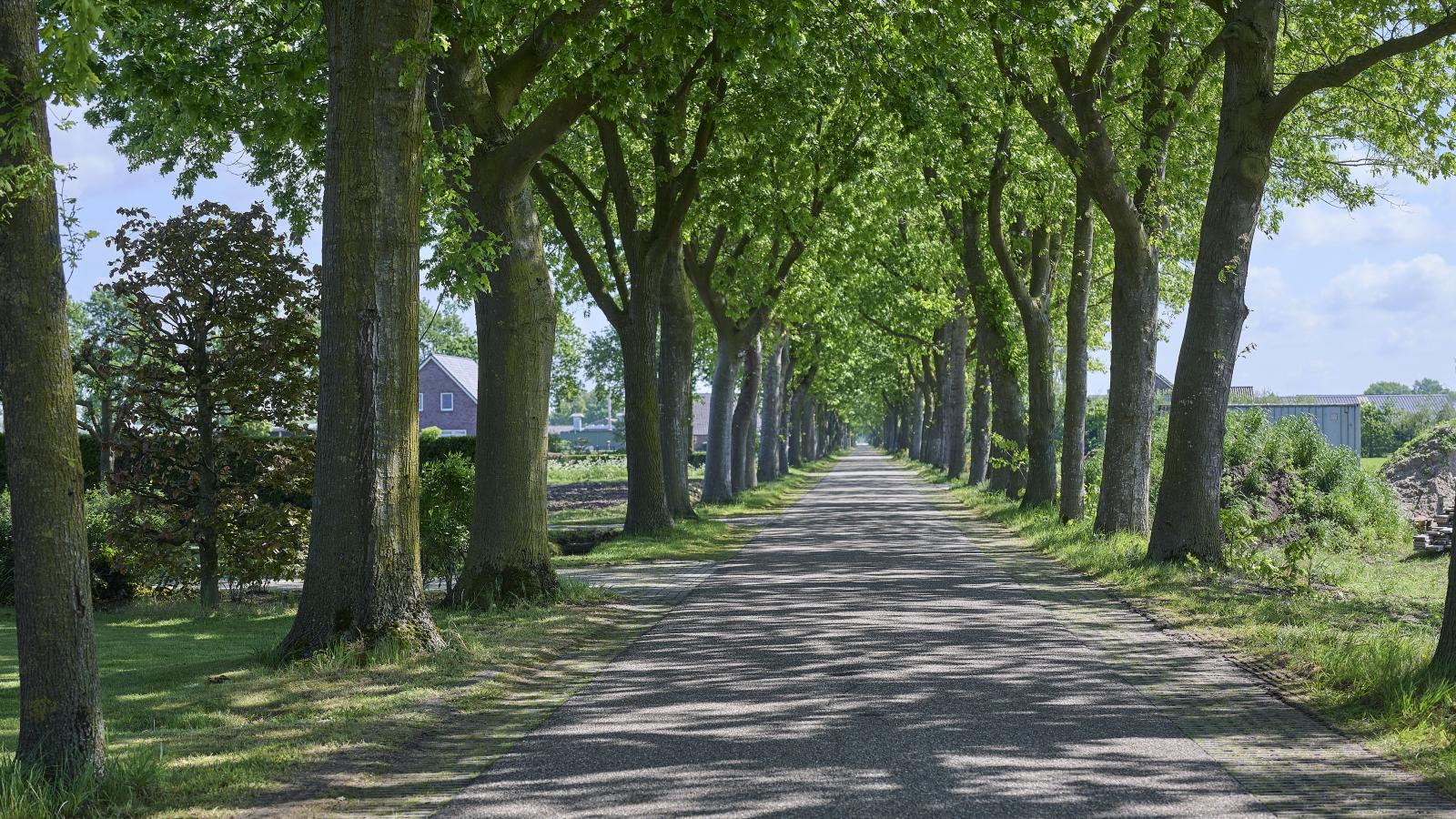 De Open Schuur - Gebieden zomer 1km