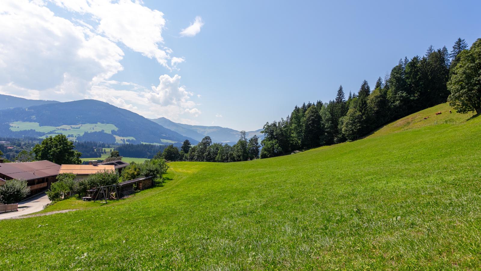 Lichtblick - Uitzicht zomer