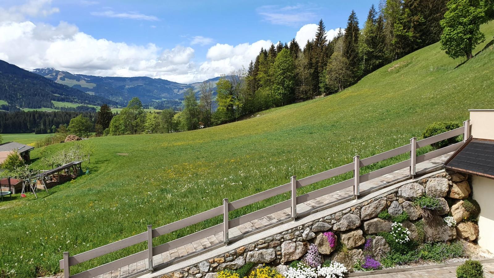 Lichtblick-View in summer