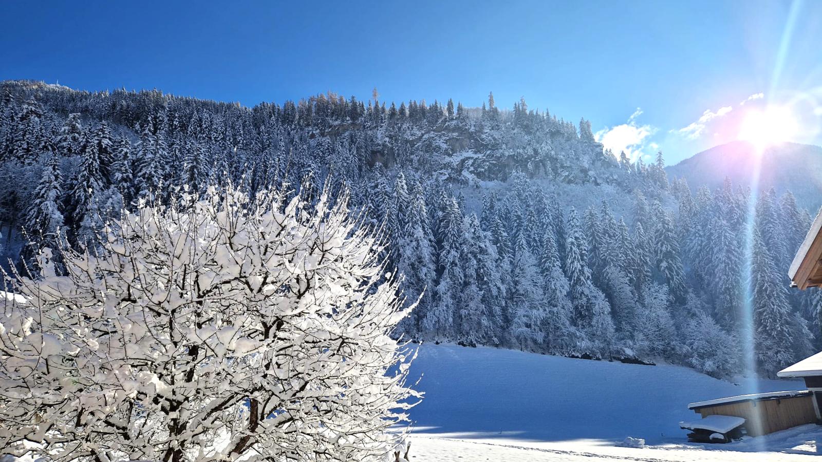 Schiestl-Vue d'hiver