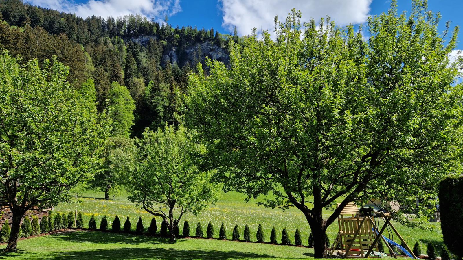 Schiestl-Jardins en été